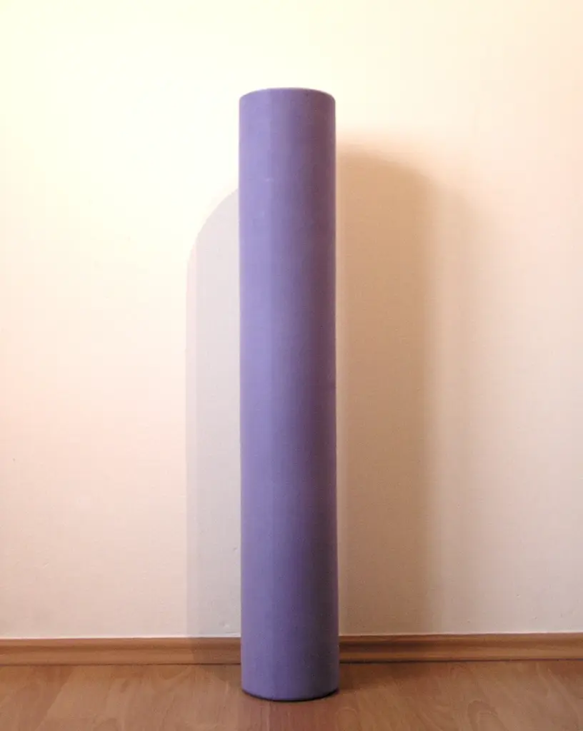 a3.com foam roller exercise 06